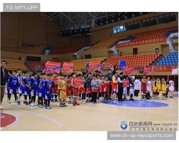 中国篮球运动融入国家文化战略，推动体育强国建设，当前中国篮球运动推进职业化进程的关键